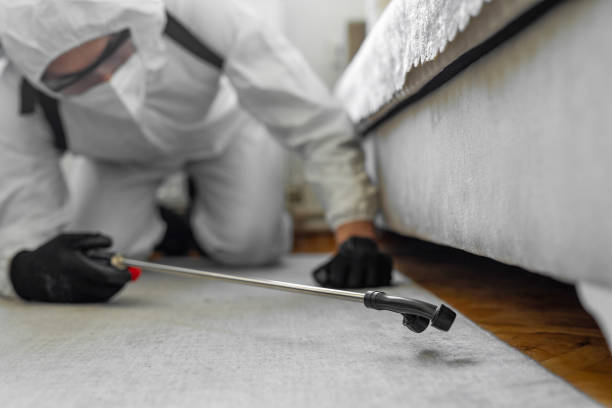 Professional Bed Bug Control technician working in Towner County County, ND